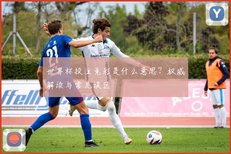 世界杯投注竞彩是什么意思？权威解读与常见误区