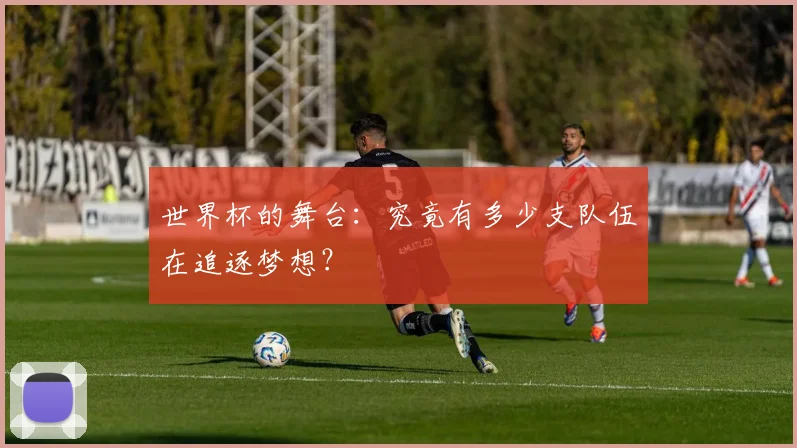 世界杯的舞台：究竟有多少支队伍在追逐梦想？